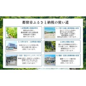 ふるさと納税 タオル・寝具 掛け布団 山梨県 ...の詳細画像5