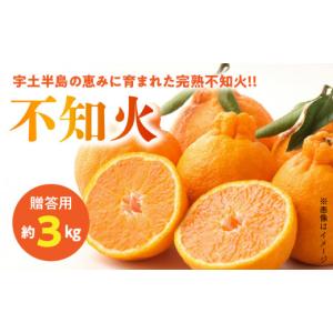 ふるさと納税 みかん・柑橘類 デコポン 熊本県...の詳細画像1
