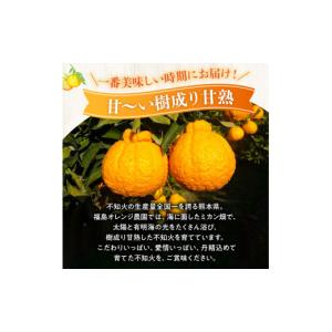 ふるさと納税 みかん・柑橘類 デコポン 熊本県...の詳細画像3
