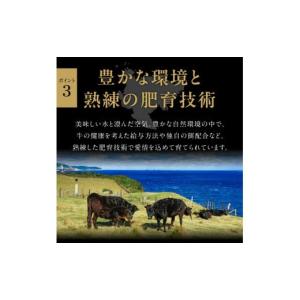 ふるさと納税 牛肉 ヒレ 佐賀県 伊万里市 全...の詳細画像5