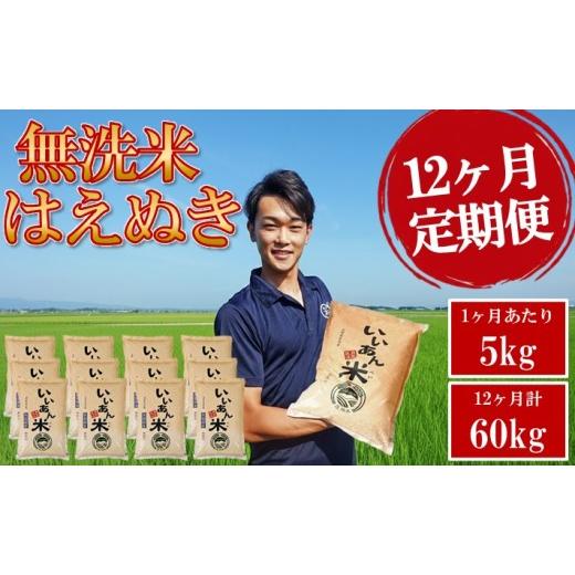 ふるさと納税 無洗米 山形県 酒田市 無洗米 定期便 はえぬき 5kg×12回 計60kg 農家直送...