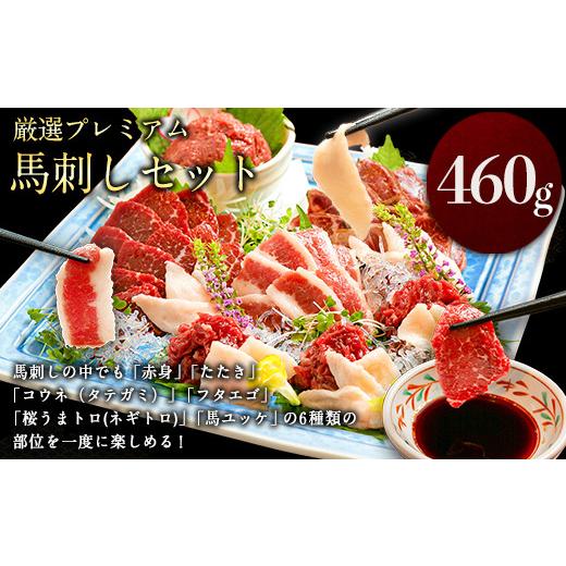 ふるさと納税 馬肉 熊本県 御船町 馬刺し すがのや 厳選プレミアム 馬刺し セット 460g 熊本...