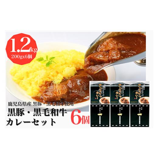 ふるさと納税 鹿児島県 指宿市 黒豚カレー200g×3個+黒毛和牛カレー200g×3個(水迫畜産／A...