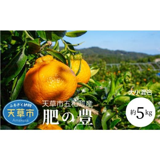 ふるさと納税 みかん・柑橘類 デコポン 熊本県 天草市 S097-002_天草市五和町産 肥の豊 約...