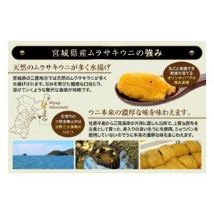 ふるさと納税 ウニ 宮城県 石巻市 訳あり 冷...の詳細画像5