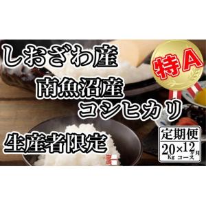 ふるさと納税 米 コシヒカリ 新潟県 南魚沼市 令和7年産 定期便：20Kg×12ヶ月 生産者限定 契約栽培 南魚沼しおざわ産コシヒカリ 2025年10月上旬より順次発送…