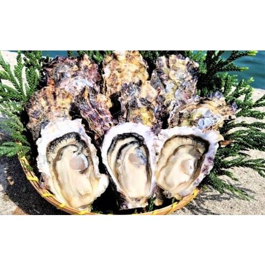 ふるさと納税 牡蠣 生牡蠣 石川県 - 能登穴水の牡蠣（殻付き）　加熱用　5kg