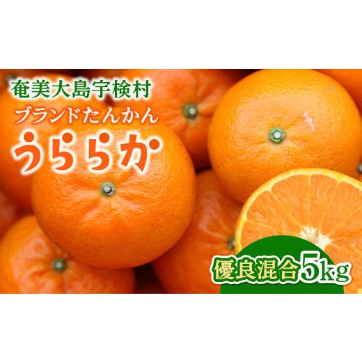 ふるさと納税 鹿児島県 宇検村 【先行予約※2025年発送分】宇検村産ブランドたんかん「うららか」 ...