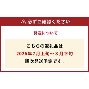 ふるさと納税 ぶどう 福岡県 うきは市 先行予...の詳細画像3