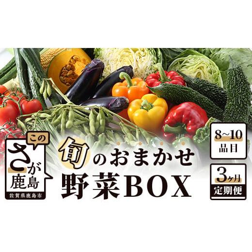 ふるさと納税 佐賀県 鹿島市 C-47 【３ヶ月お届け】旬のおまかせ野菜BOX定期便 【 野菜 果物...