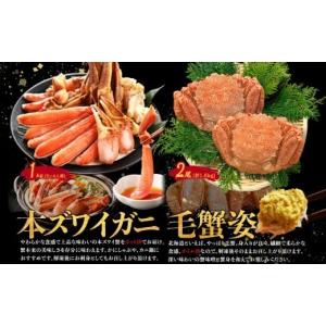 ふるさと納税 カニ ずわいガニ 北海道 弟子屈...の詳細画像3