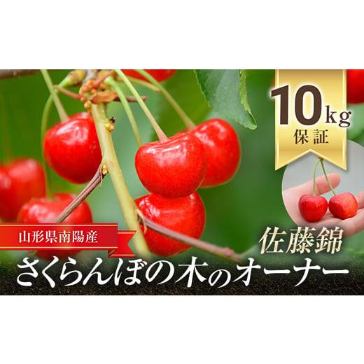 ふるさと納税 山形県 南陽市 さくらんぼの木のオーナー 「佐藤錦」 10kg保障 《令和6年6月発送...