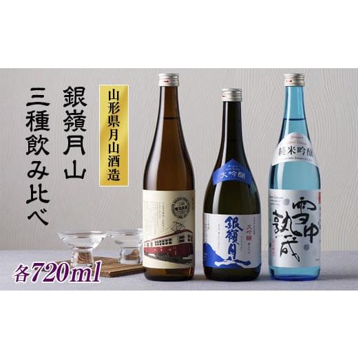 ふるさと納税 日本酒 純米吟醸酒 山形県 西川町 FYN9-248 山形の地酒 銀嶺月山 3種飲みく...