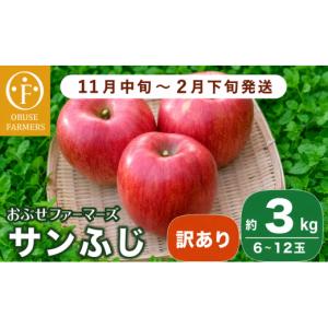 ふるさと納税 りんご 長野県 小布施町 訳あり...の詳細画像1