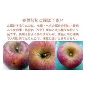 ふるさと納税 りんご 長野県 小布施町 訳あり...の詳細画像2