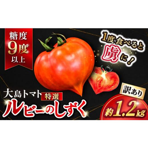 ふるさと納税 野菜類 トマト 長崎県 西海市 トマト 高糖度 2026年収穫分先行予約 訳あり 大島...
