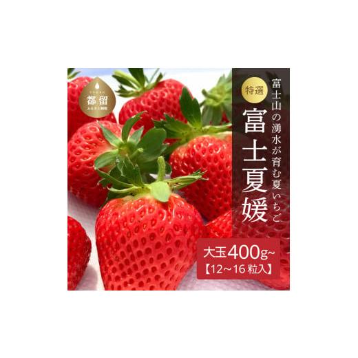 ふるさと納税 山梨県 都留市 【湧水のミネラルたっぷり！山梨の夏いちご】【2024年 先行予約】富士...