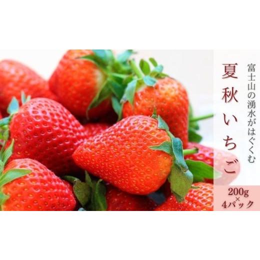 ふるさと納税 いちご 山梨県 都留市  2026年 先行予約 湧水のミネラルたっぷり 山梨の夏秋いち...