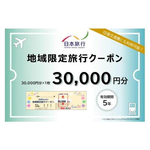 ふるさと納税 北海道 登別市 日本旅行　地域限定旅行クーポン【30,000円分】【旅行 チケット 宿...