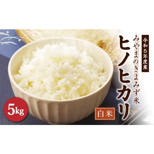 ふるさと納税 福岡県 みやま市 A104 【令和5年産】みやまのきよみず米 ヒノヒカリ 5kg 白米