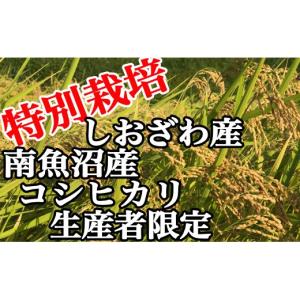 ふるさと納税 米 コシヒカリ 新潟県 南魚沼市...の詳細画像3