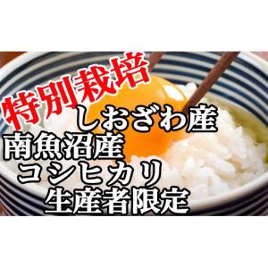 ふるさと納税 米 コシヒカリ 新潟県 南魚沼市...の詳細画像5