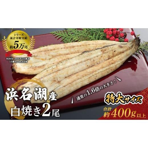 ふるさと納税 うなぎ 静岡県 浜松市 国産うなぎ 浜名湖産 長白焼き 2尾 (200g×2本入) 山...