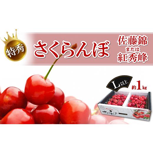 ふるさと納税 山形県 南陽市 【令和6年産先行予約】 さくらんぼ 約1kg (特秀 L以上) 《令和...