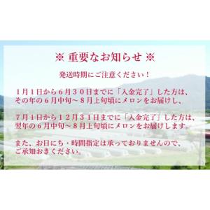 ふるさと納税 メロン メロン赤肉 北海道 夕張...の詳細画像2