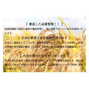ふるさと納税 無洗米 山形県 舟形町 令和7年...の詳細画像4