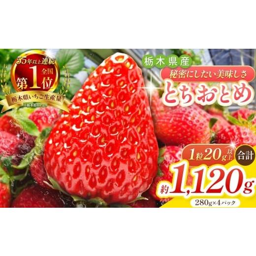 ふるさと納税 いちご 栃木県 矢板市 とちおとめ 1120g 2025年12月初旬より順次発送予定 ...