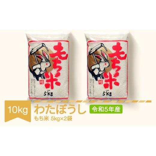 ふるさと納税 山形県 村山市 もち米 10kg 5kg×2 わたぼうし 令和5年産 2023年産 山...