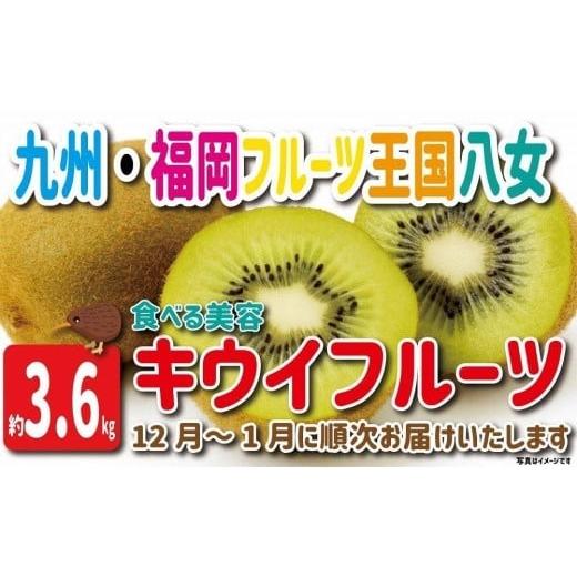 ふるさと納税 福岡県 八女市 九州・福岡フルーツ王国八女　産地直送キウイフルーツ　約３．６ｋｇ【20...