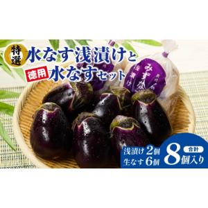 JA大阪泉州 水なす(C) 20個入り(約3.5KG前後) : IRIS Drug - 通販