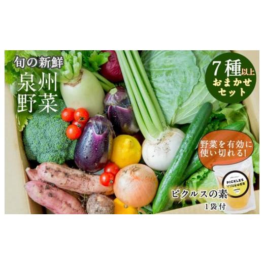 ふるさと納税 大阪府 泉佐野市 季節の泉州野菜セット 7種