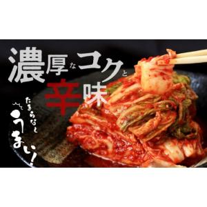 ふるさと納税 加工品等 キムチ 大阪府 泉佐野...の詳細画像2