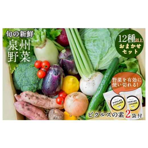 ふるさと納税 大阪府 泉佐野市 季節の泉州野菜セット 12種