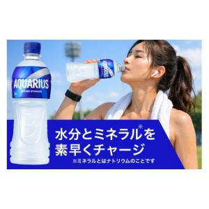ふるさと納税 飲料類 沖縄県 浦添市 アクエリ...の詳細画像3