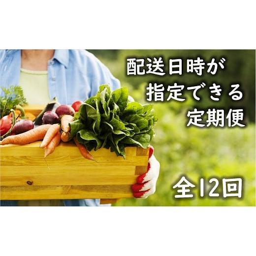 ふるさと納税 宮崎県 綾町 「お好きな時にいつでもお届け」旬のお野菜定期便【全12回】（53-33）