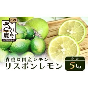 ふるさと納税 みかん・柑橘類 レモン 佐賀県 鹿島市 B-367 リスボンレモン 約5kg レモン れもん 檸檬 果物 生搾り 料理 菓子 サワー お酒 国産 果物 フルーツ …