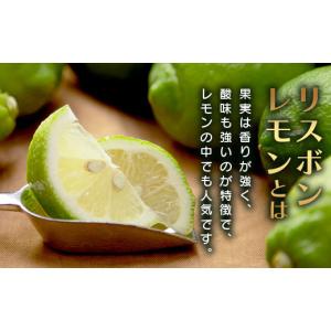 ふるさと納税 みかん・柑橘類 レモン 佐賀県 ...の詳細画像3