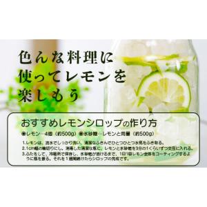 ふるさと納税 みかん・柑橘類 レモン 佐賀県 ...の詳細画像4