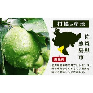 ふるさと納税 みかん・柑橘類 レモン 佐賀県 ...の詳細画像5
