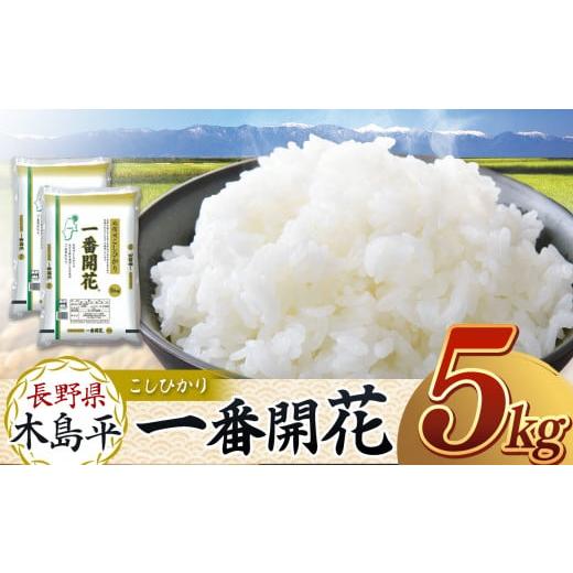 ふるさと納税 長野県 木島平村 【一番開花】【コシヒカリ】木島平産こしひかり　5kg　A009-09