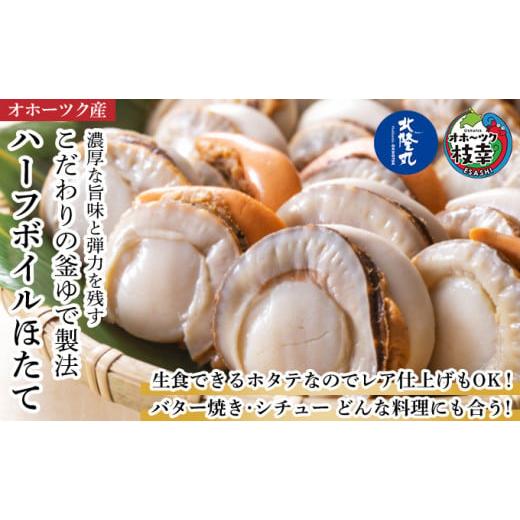 ふるさと納税 魚貝類 ホタテ 北海道 枝幸町 冷凍ハーフボイルほたて1kg（30〜34粒）オホーツク...