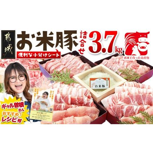 ふるさと納税 豚肉 セット 宮崎県 都城市 お米豚3.7kgセット_23-3101_(都城市) 豚肉...