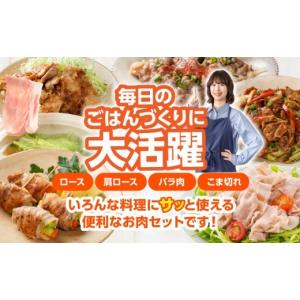 ふるさと納税 豚肉 セット 宮崎県 都城市 お...の詳細画像2