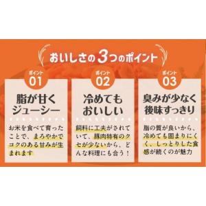 ふるさと納税 豚肉 セット 宮崎県 都城市 お...の詳細画像4
