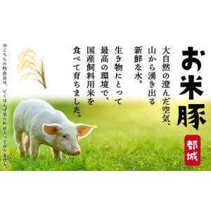 ふるさと納税 豚肉 セット 宮崎県 都城市 お...の詳細画像5
