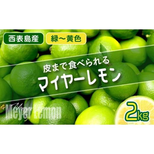 ふるさと納税 沖縄県 竹富町 【2024年発送】まろやか多汁マイヤーレモン （島レモン）約2kg